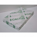 cactus_ppc_paper_1_7473951528_387604055