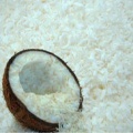 desiccated-023