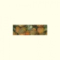 pineapple_172302121