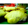 sugarcookies