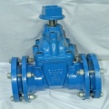 di_gate_valve_mechanical_type_1311935584