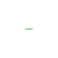 Sentinel Plastics Manufacturing Corporation