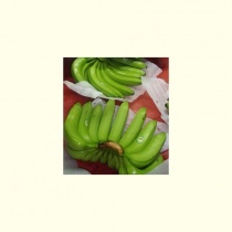banana_1__1691168201