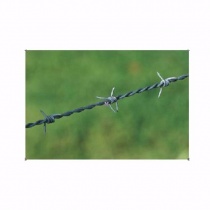 barbed_wire_img_3815050411-023