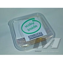 kombucha-starter-kit-philippines