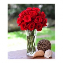red_france_deluxe