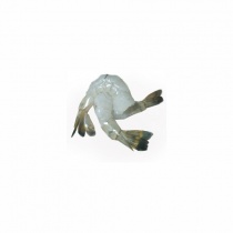 shrimp_pdto_web_1150070671