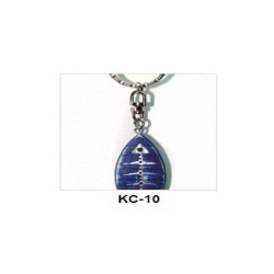 kc_10_2103135508