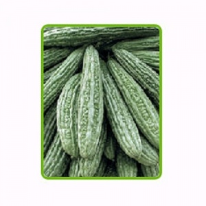 ampalaya___poseidon_f1-023