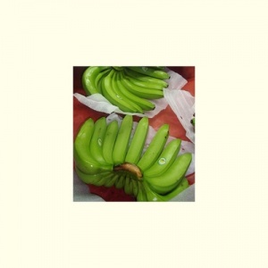 banana_1__1691168201