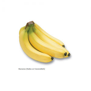 banana__saba_or_cavendish_-023