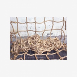 cargo_1913680771_net_2