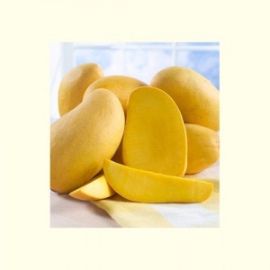 mango_2168172375_658505490