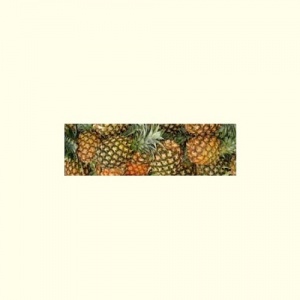 pineapple_172302121