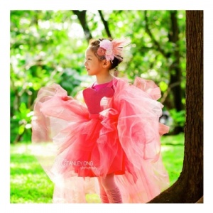 flamingo_400