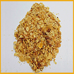 lamsan_corn_germ