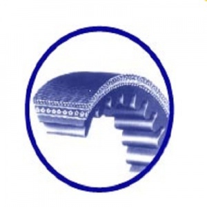raw_edge_cog_belts