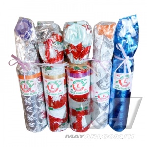 firecracker_10