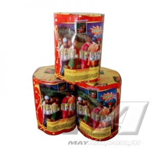 firecracker_19