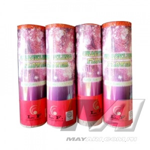 firecracker_30