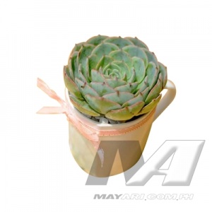 product_3