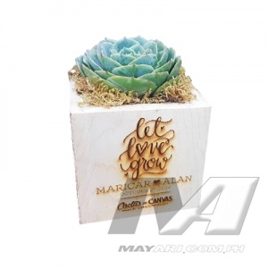 product_8