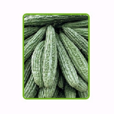ampalaya___poseidon_f1-023