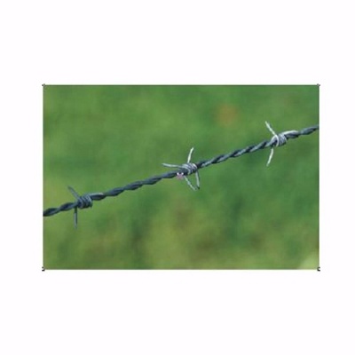 barbed_wire_img_3815050411-023