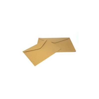 brown_document_envelope_1046181954