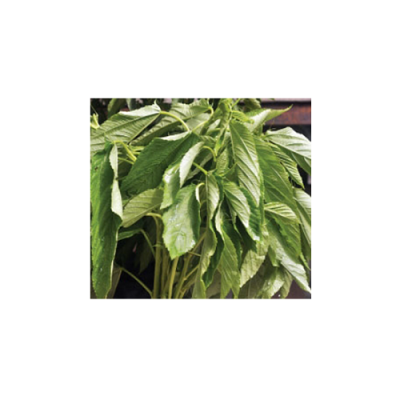 jute_frame-23