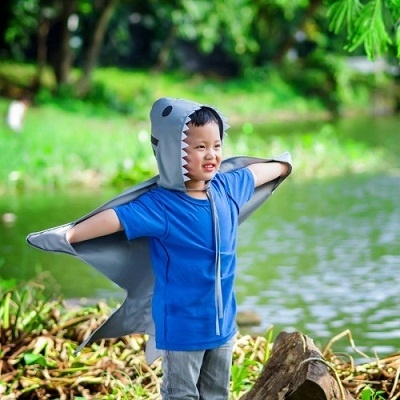 shark