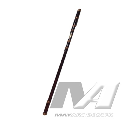 truesidewinder_key_of_g_colored