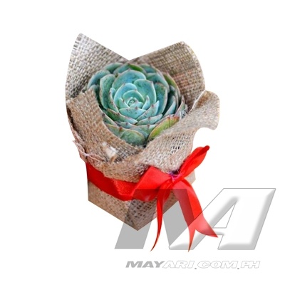 product_5
